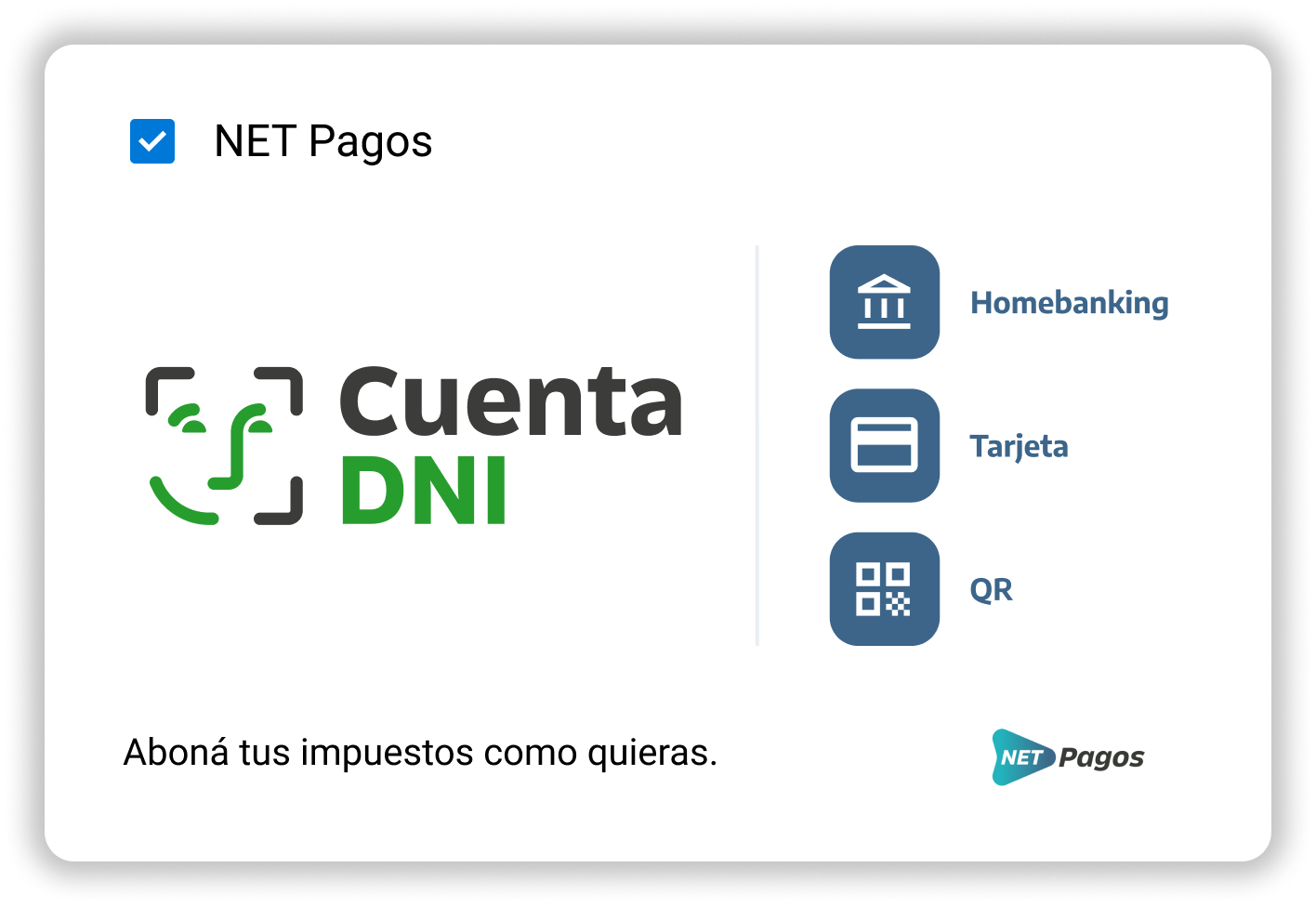 Formas de pago Iassa Pinamar Seguridad ProvinciaNet