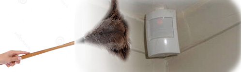 Quite telas de araña